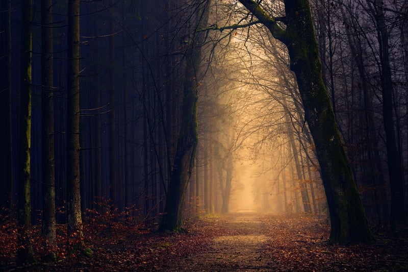Enchanting Lighting